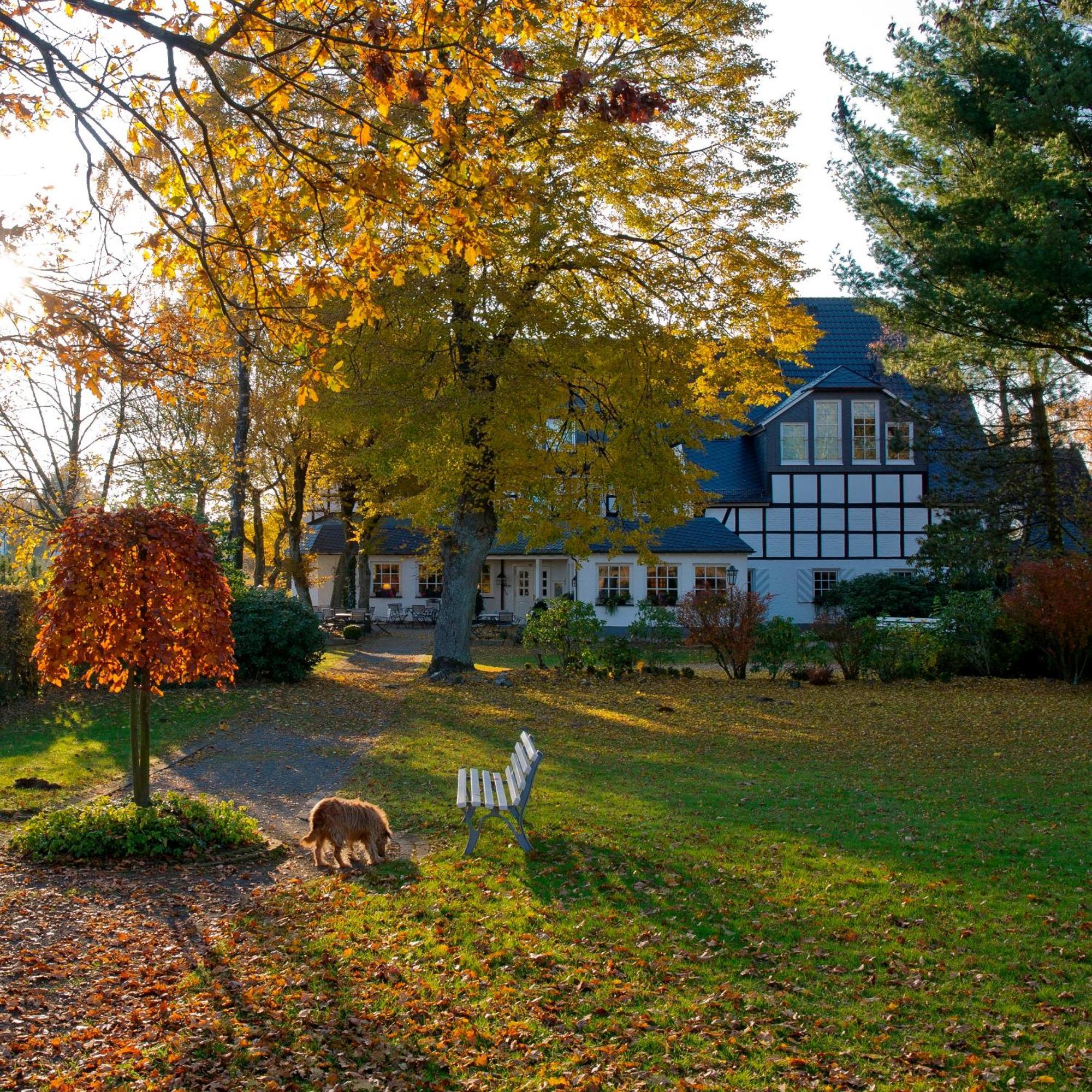 Hotel Waldhaus Foeckinghausen 베슈트비크 외부 사진